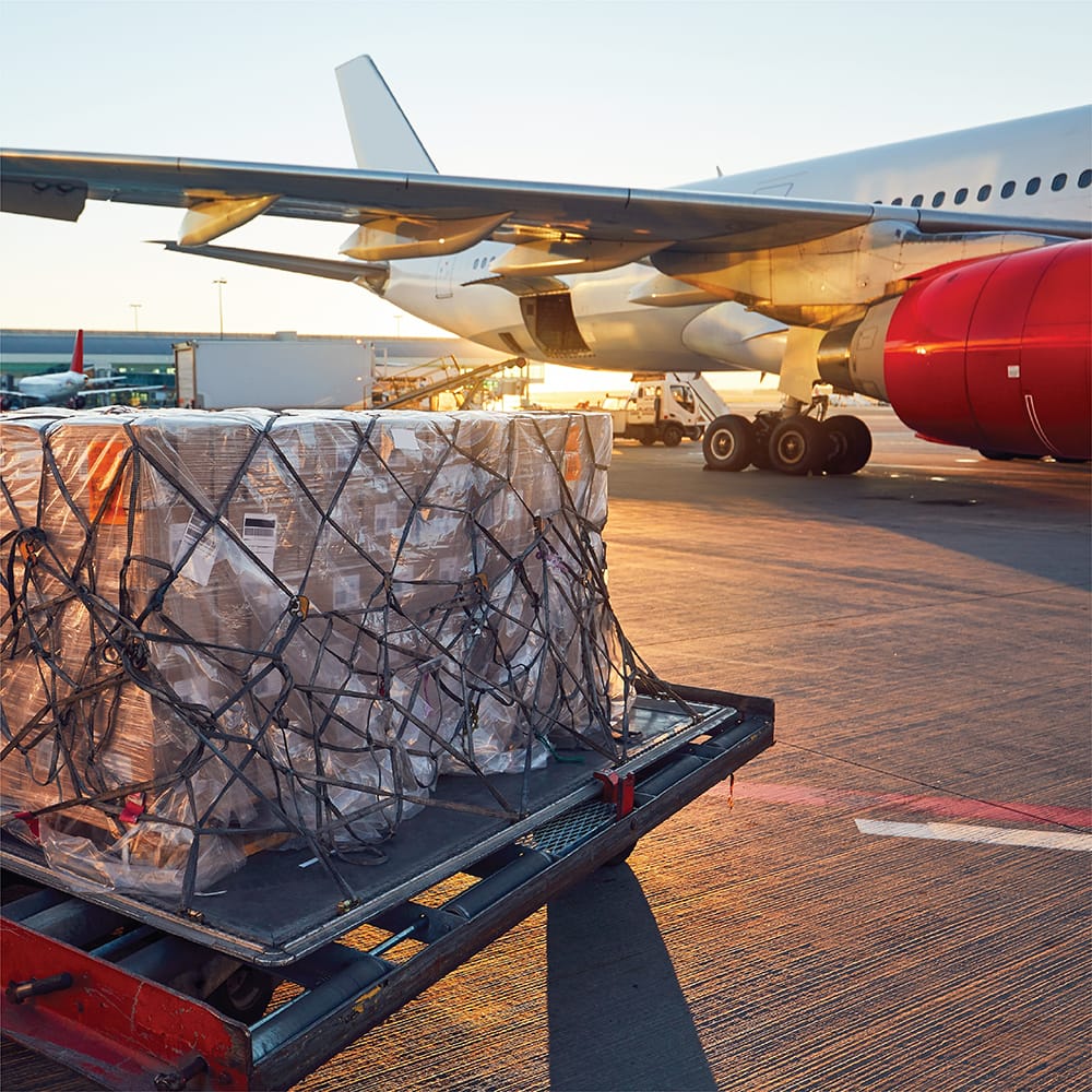 Plastic Pallet Pallet 1000x1000 Eco - Plastic Pallet