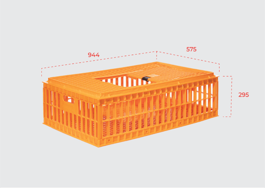 MS1021 Website 07 540x383 - MS1021