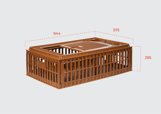 MS1031 Website 07 1 540x383 - MS1031