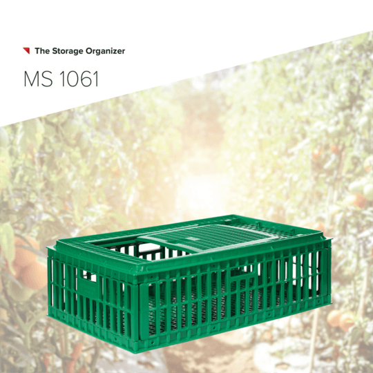 MS1061 Website 01 1 540x540 - MS1061